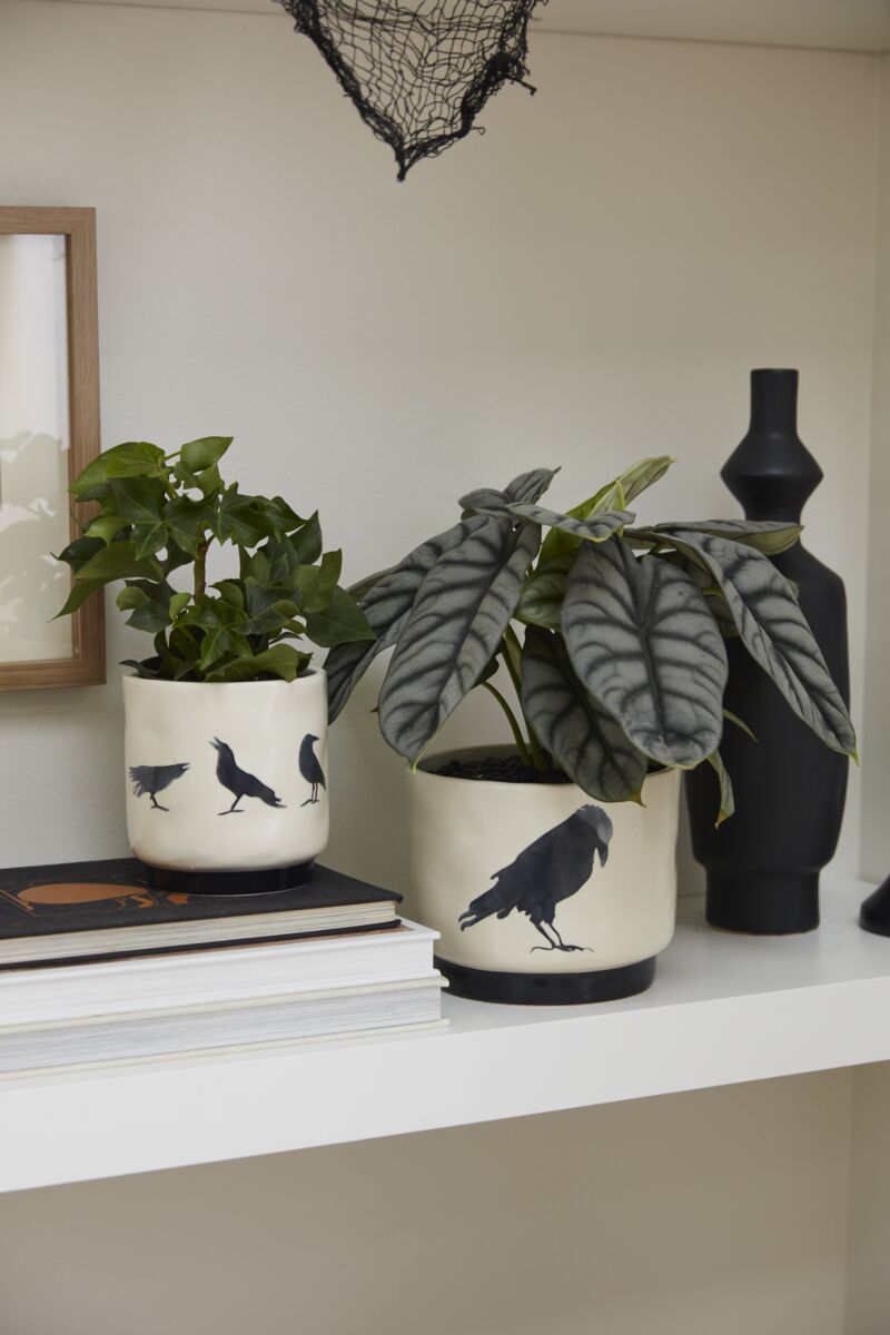 Corvus Crow Pot
