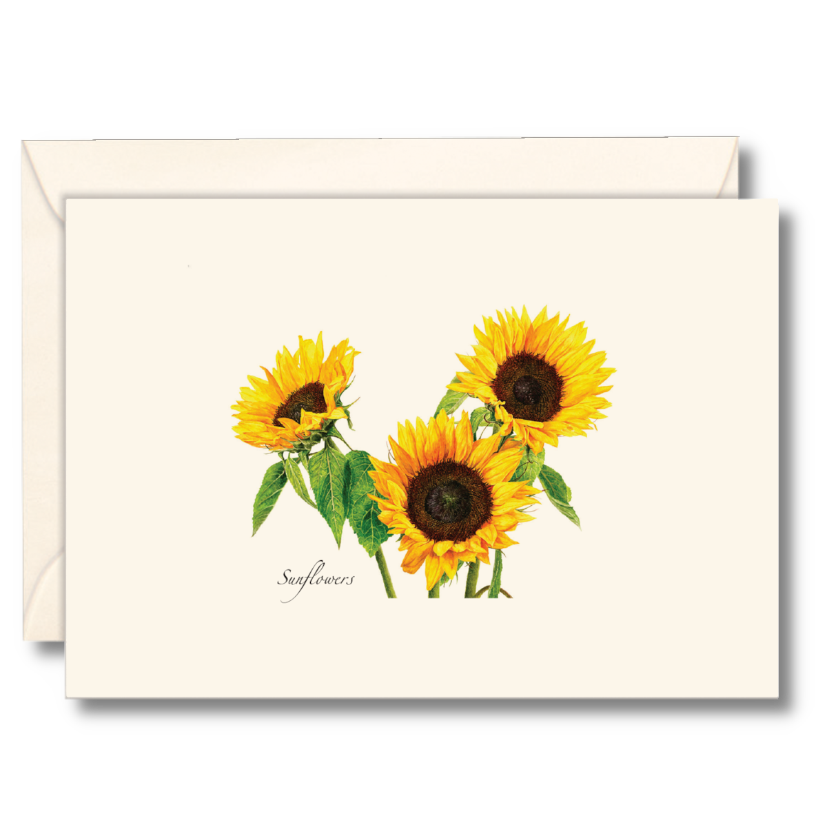 3 Sunflowers Notecards, 8ct