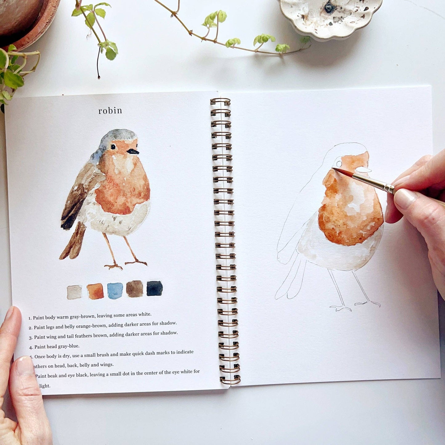 Watercolor Workbook, Various