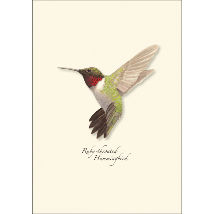 Ruby-throated Hummingbird Notecards, 8ct