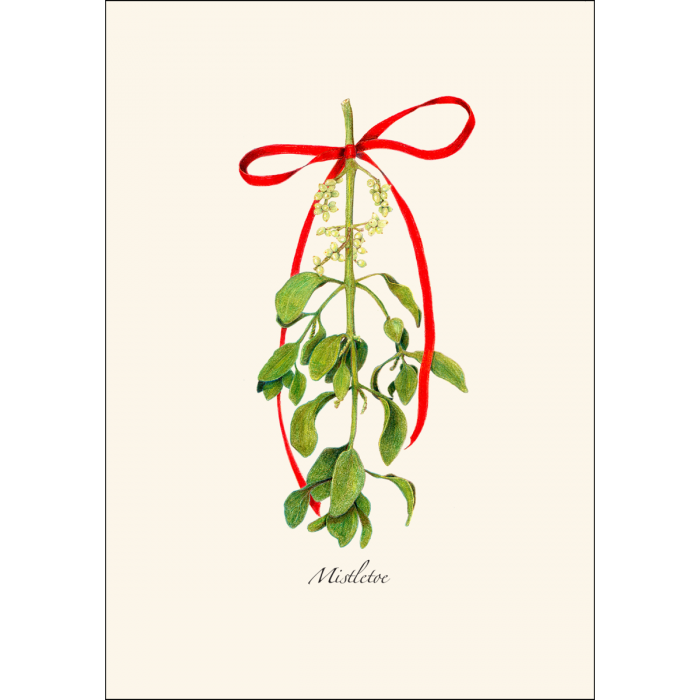 Mistletoe Notecards, 8ct