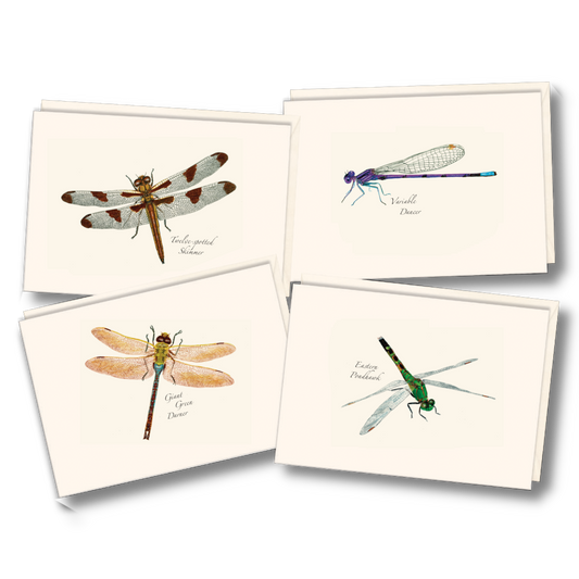 Dragonfly & Damselfly Assortment Notecards, 8ct