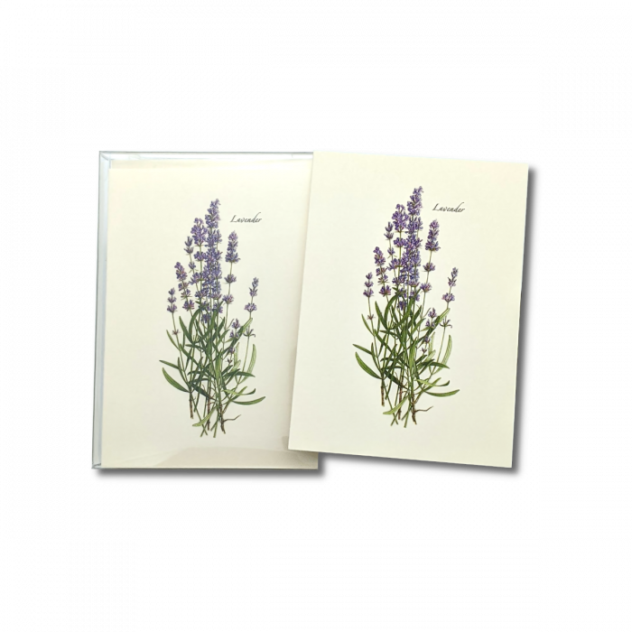 Lavender Notecards 8ct.