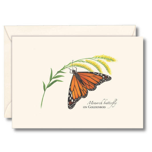 Monarch Butterfly on Goldenrod Notecards, 8 Ct.