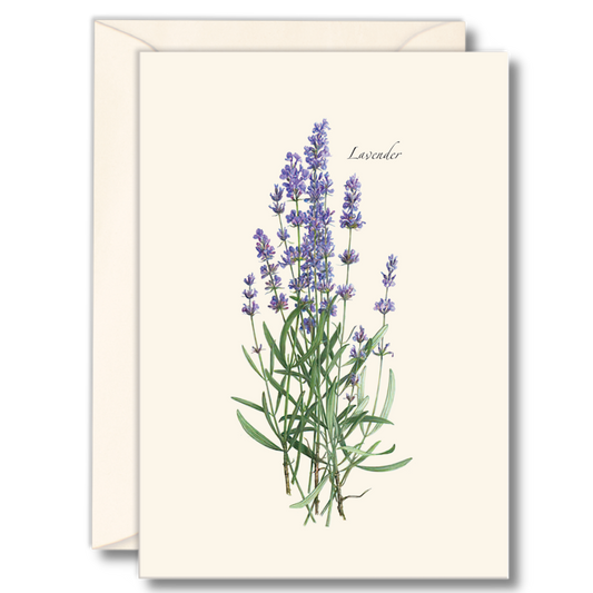 Lavender Notecards 8ct.