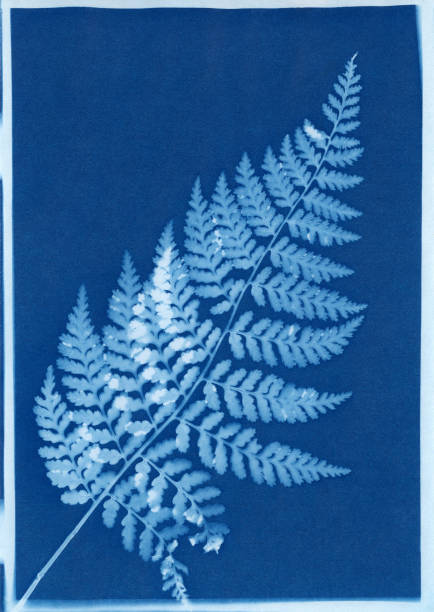 Cyanotyping 101 - June 27 at 11a