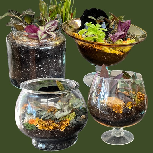 Vintage Glass Ceme-Terrarium Workshop - Saturday, October 3 at 11am