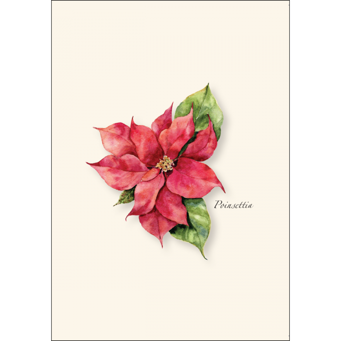 Poinsettia Notecards 8ct