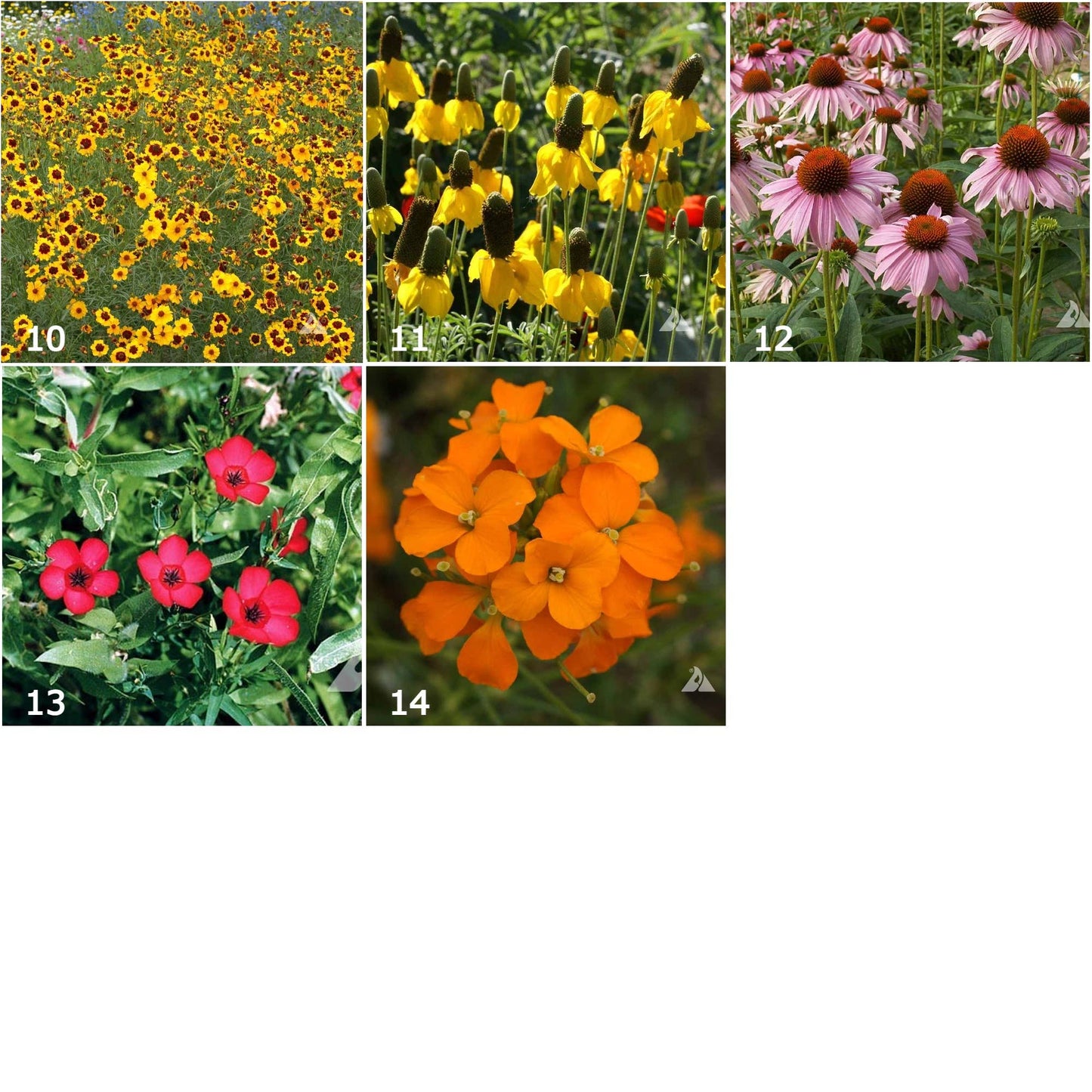 Wildflower Garden Sprinkles Seed Tin