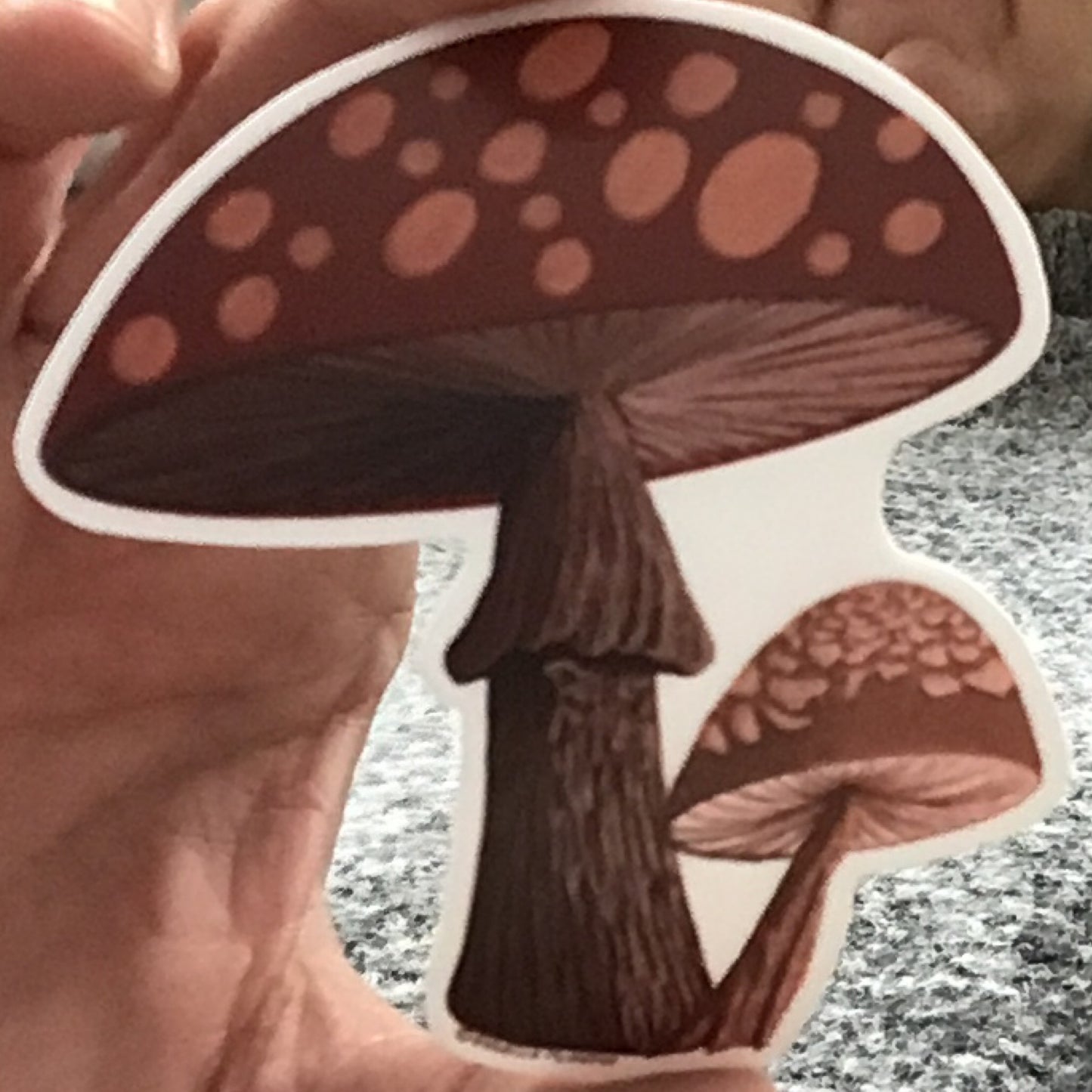 Mushrooms Sticker, GreeneHouse Original