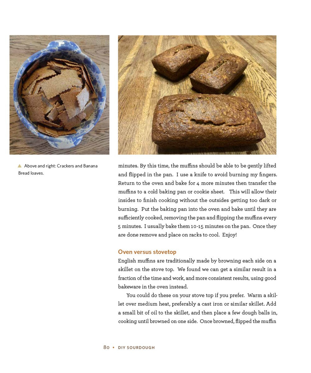 DIY Sourdough: The Beginners Guide