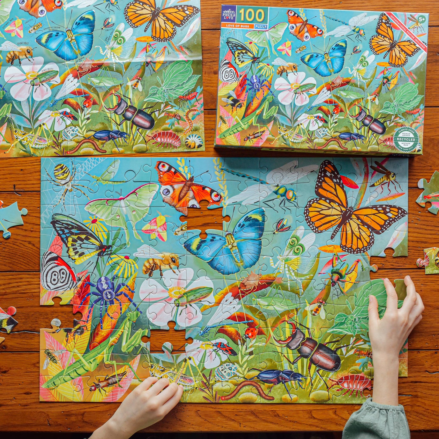 Eeboo Love of Bugs Puzzle