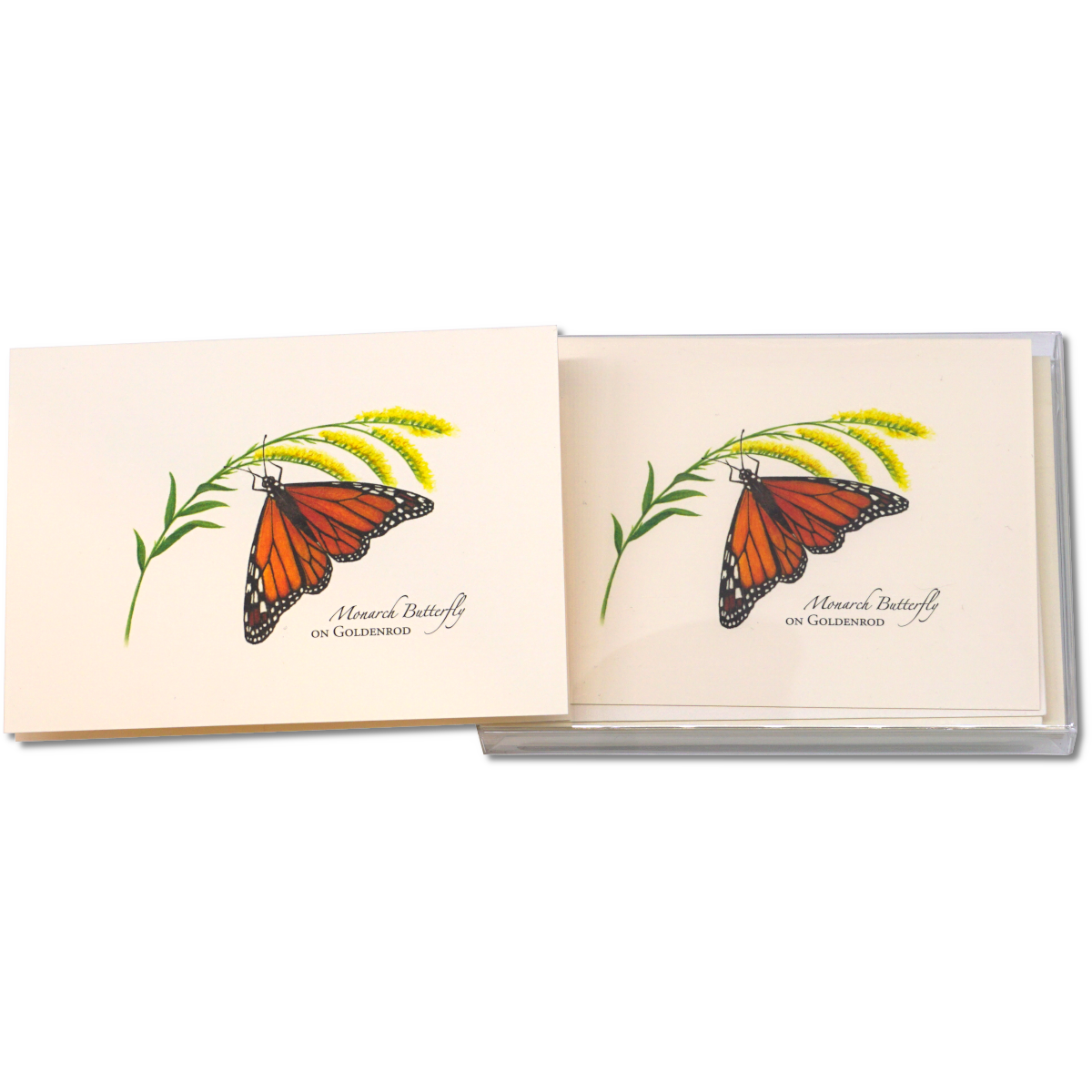 Monarch Butterfly on Goldenrod Notecards, 8 Ct.