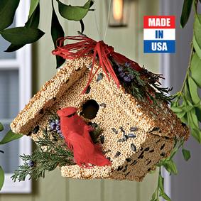 Mr Bird Wren Casita