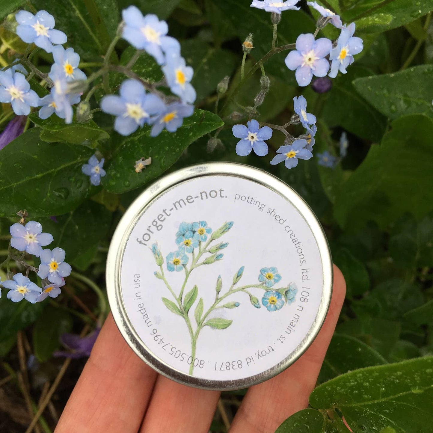 Forget-Me-Not Garden Sprinkles Seed Tin