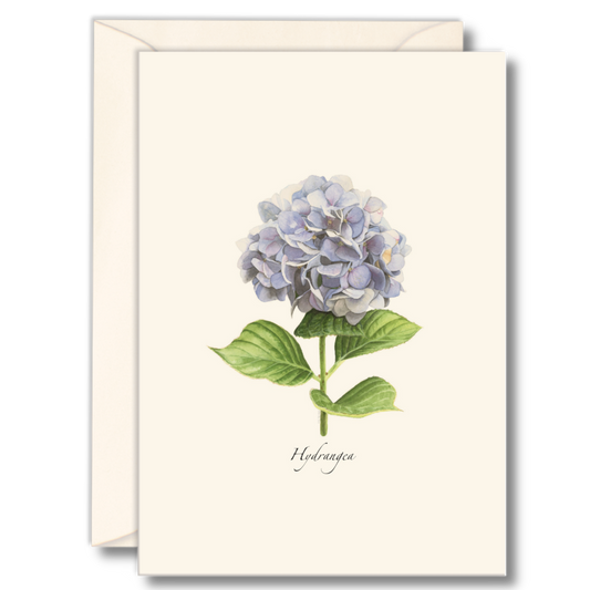 Hydrangea Notecards, 8ct.