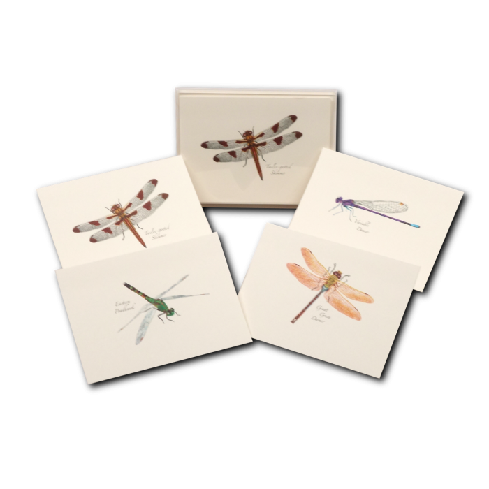 Dragonfly & Damselfly Assortment Notecards, 8ct