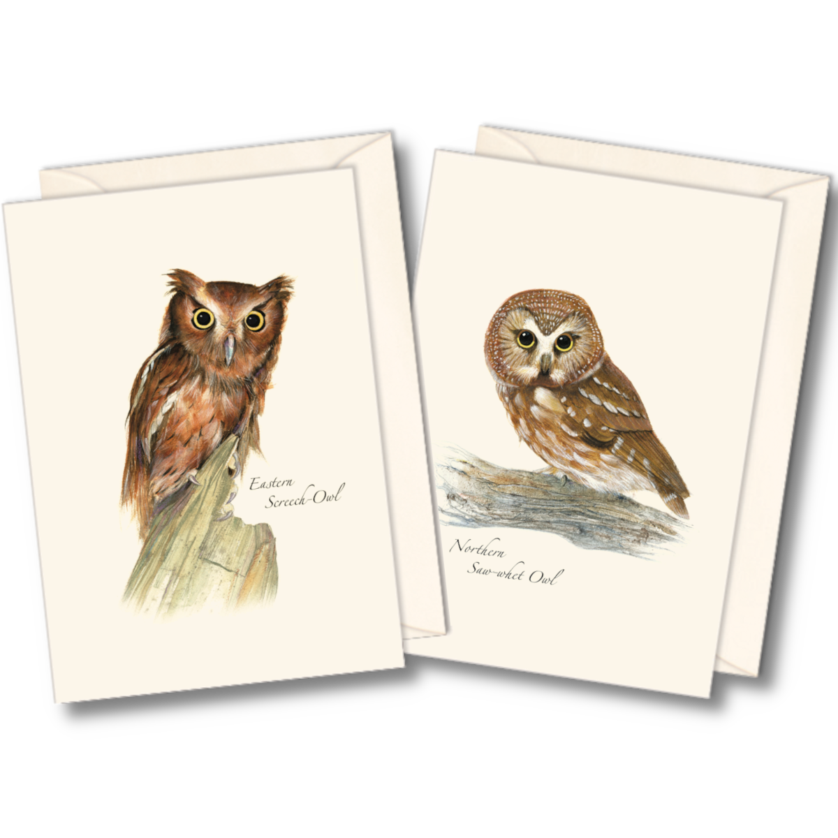 Owl assortment boxed notecard set with eight cards in two wildlife designs by local artists, complete with matching envelopes.