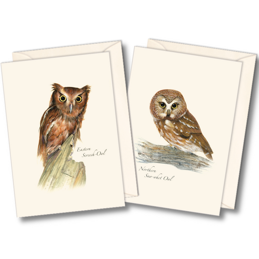 Owl assortment boxed notecard set with eight cards in two wildlife designs by local artists, complete with matching envelopes.