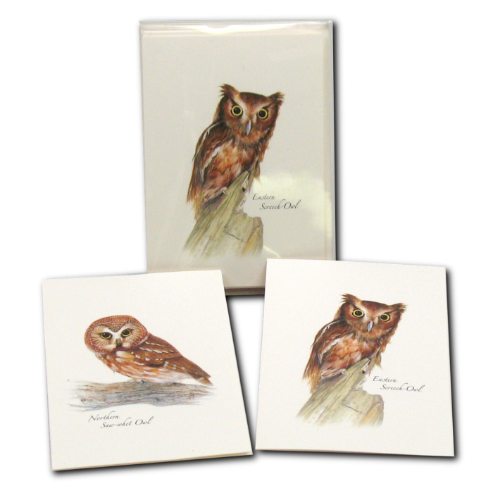 Three assorted owl notecard designs featuring detailed wildlife artwork by local artists for handwritten notes and everyday correspondence.