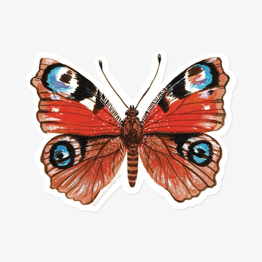 Colorful butterfly illustration on a white background