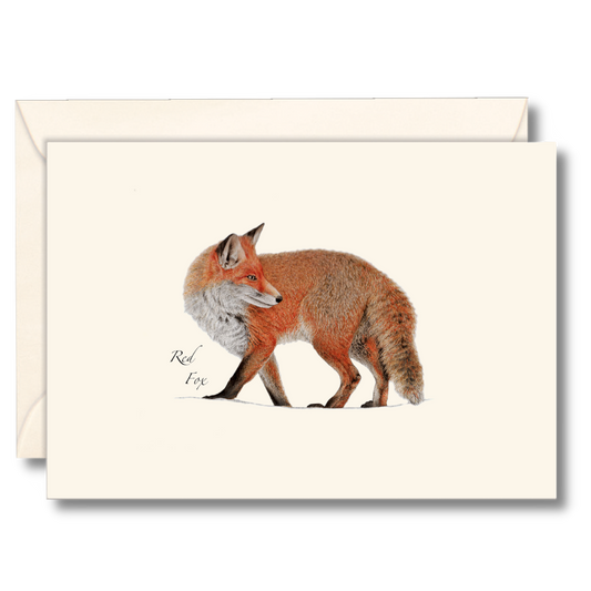 Red Fox boxed notecard set with eight wildlife-themed cards and matching envelopes, featuring local artist designs printed on recycled paper.