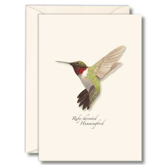 Boxed set of 8 Ruby-throated Hummingbird folded blank 3.5x5 notecards by Lore Rutan, printed on recycled paper with matching envelopes.