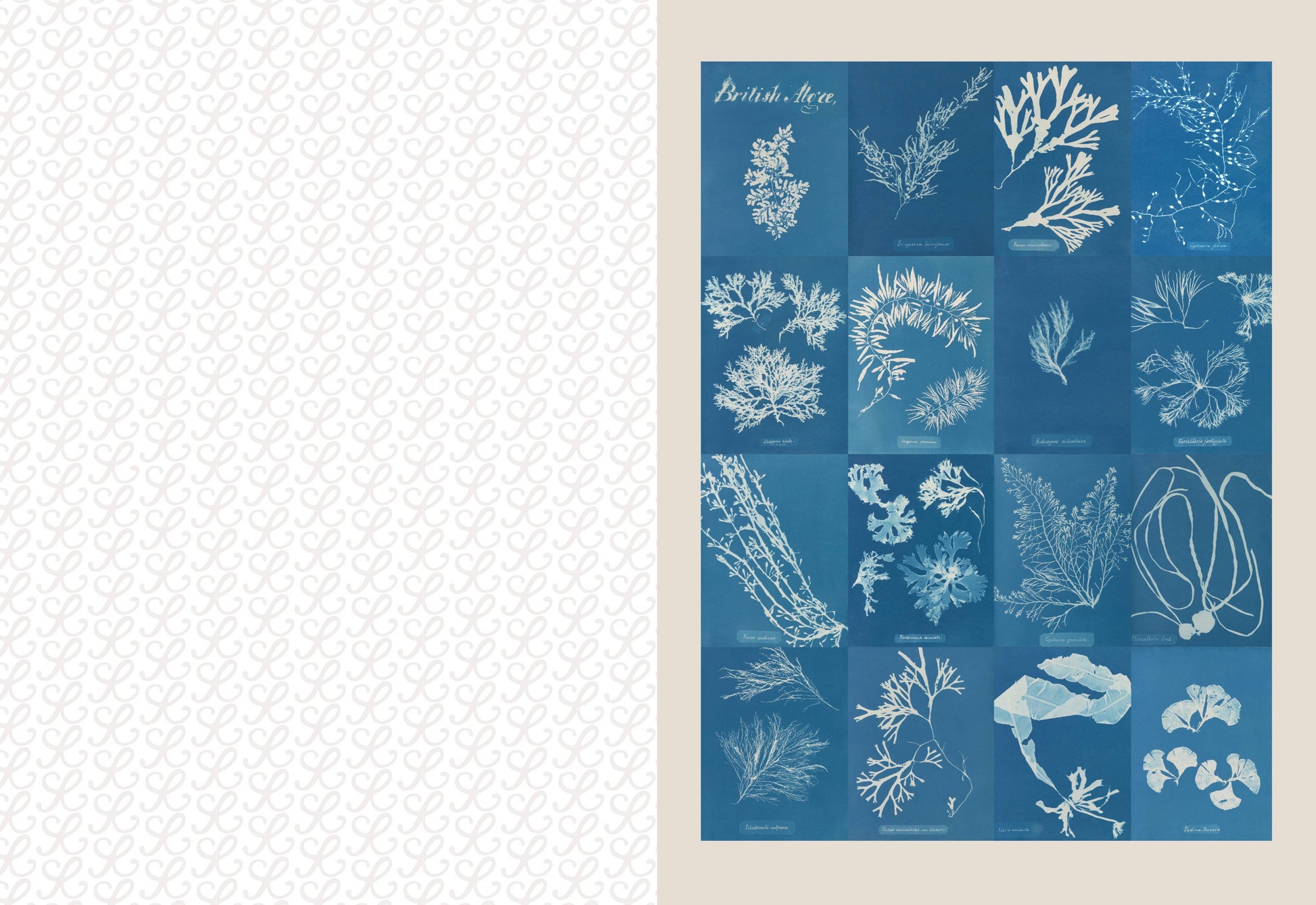 Blue and white patterned design on a beige background