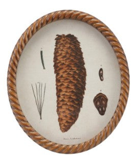 Twisted Framed Glass Wall Decor with Pinecone Image