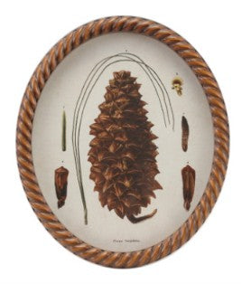 Twisted Framed Glass Wall Decor with Pinecone Image